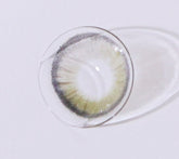 LensTown Palm 3color Olive